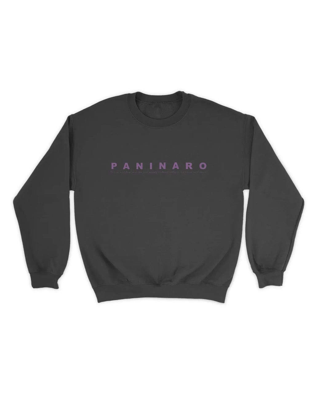 Category C Graphic Sweatshirt – Paninaro Script | White, Black, Navy