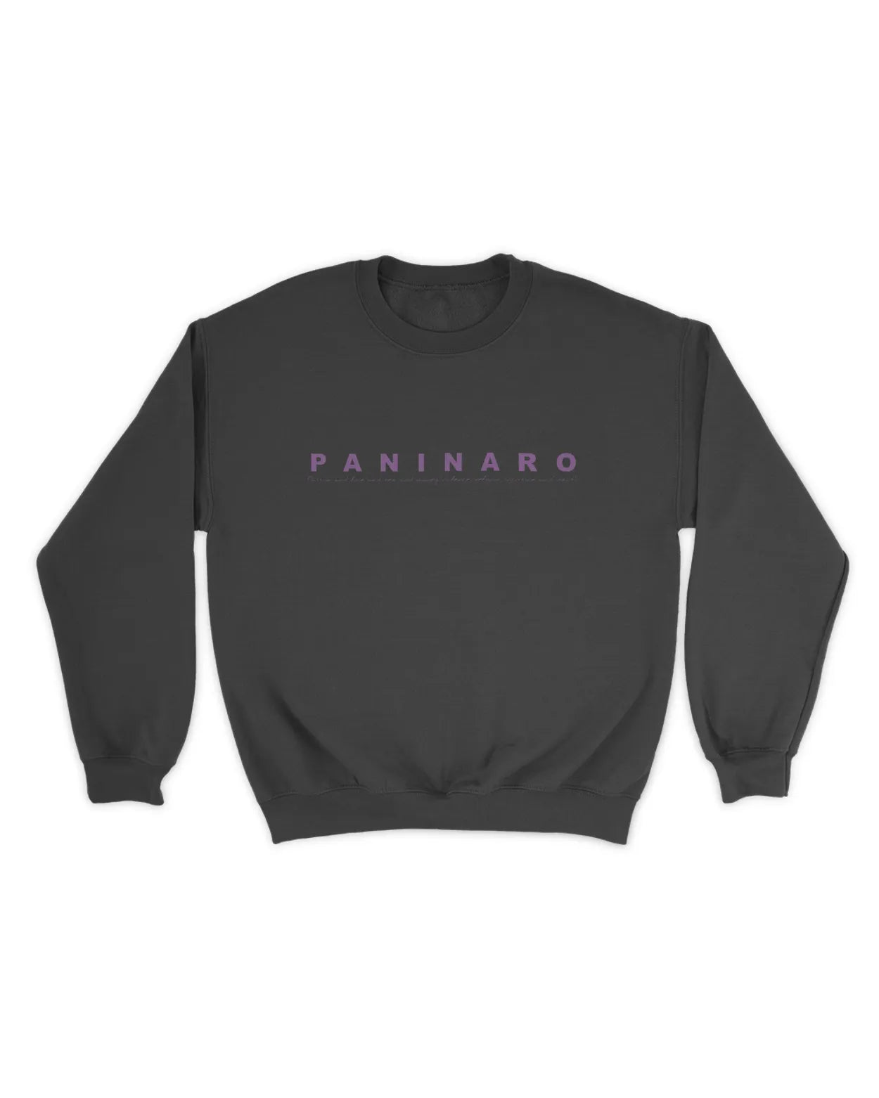 Category C Graphic Sweatshirt – Paninaro Script | White, Black, Navy